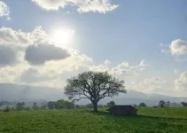 Itapipoca tempo agradável