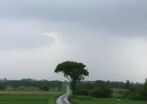 previsão do tempo Itapipoca