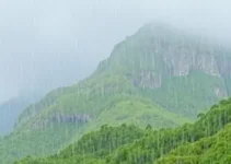 Itapipoca deve ter um dia com chuva localizada nesta quinta-feira