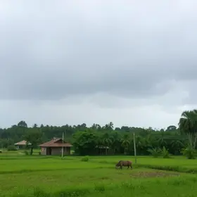 Itapipoca deve ter um dia com pancadas fortes e rápidas nesta terça-feira (03)