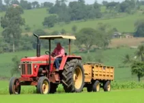 agricultura familiar