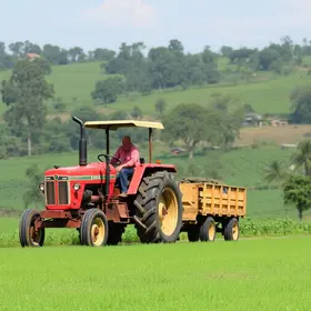 agricultura familiar