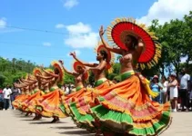 Grupo Pé de Cerrado