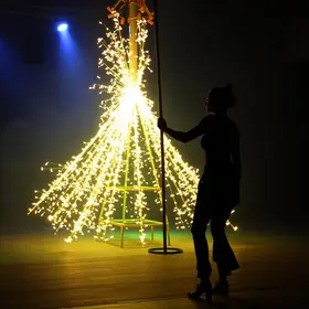 Mostra de Vídeo e Circo