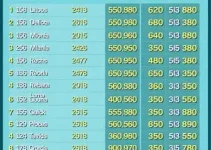 resultado dia de sorte 1313